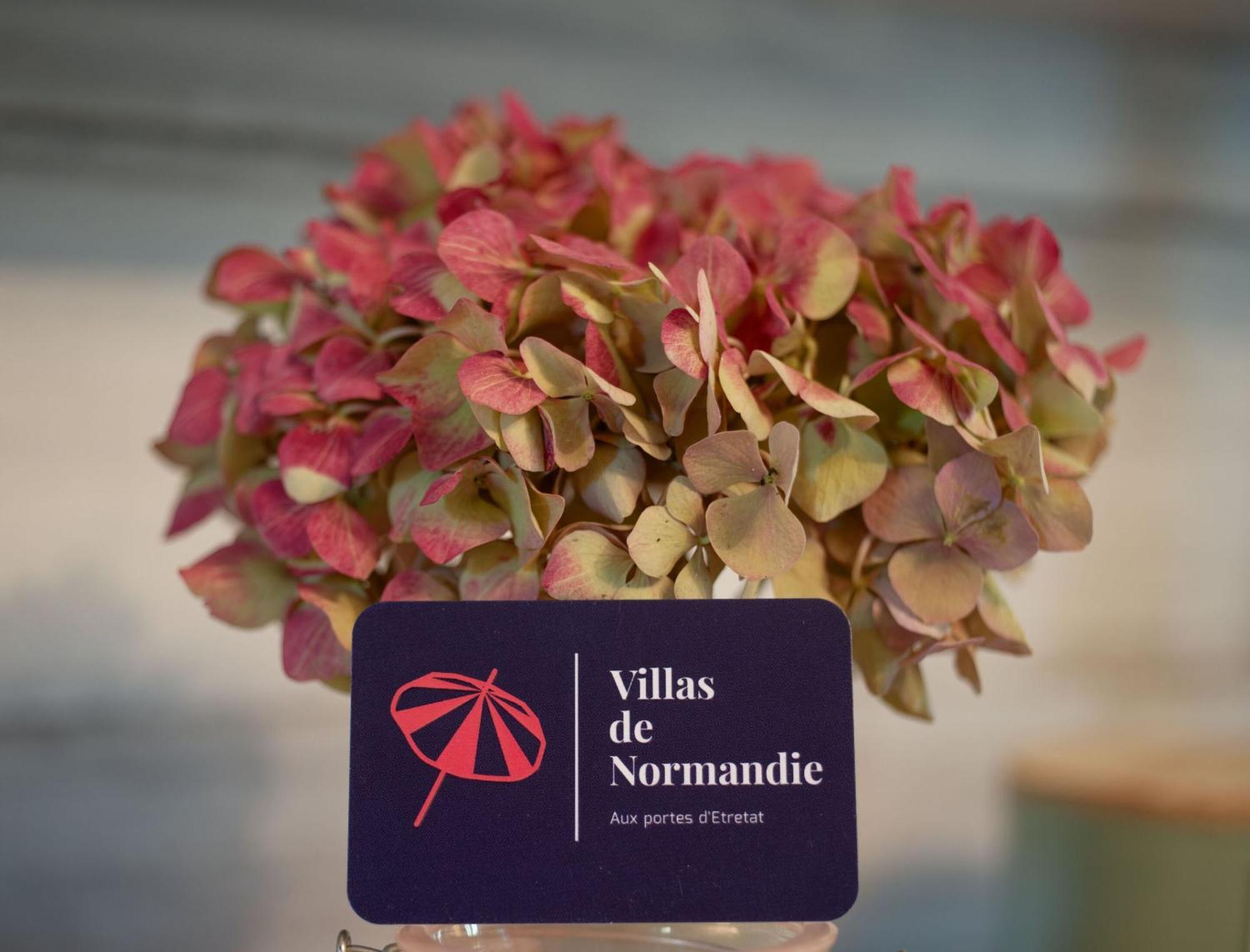 فيلا La Fleur De Sel D'Etretat Bordeaux-Saint-Clair المظهر الخارجي الصورة